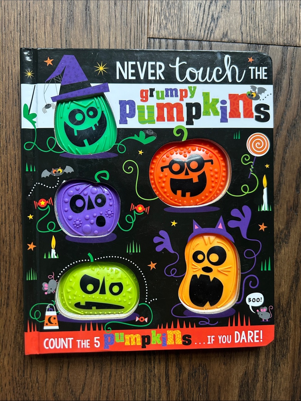 Never touch the grumpy Pumpkins Board Book